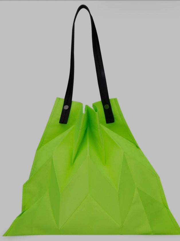 TB: Fashion Canvas Foldable & Reusable Shopping/Travel Bag