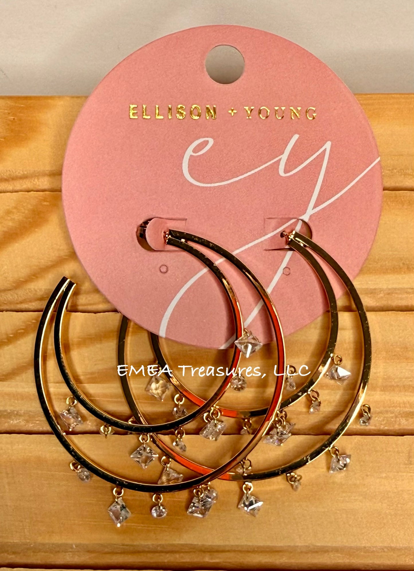 J: Doubled Hoop Crystal Dangle Earrings